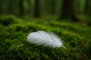 Weiße Feder im Wald